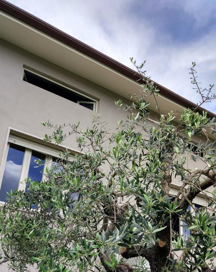 La Locanda Francigena Bed & Breakfast Lucca Luaran gambar
